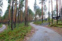  Финляндия(Лиекса). Окрестности кемпинга Нейтикоски