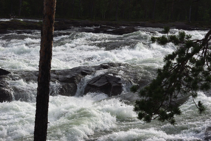ШВЕЦИЯ, Piteälven (Trollforsarna), 2012.